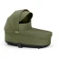 Moss Green