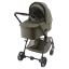 Urban Olive