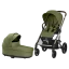 Moss Green