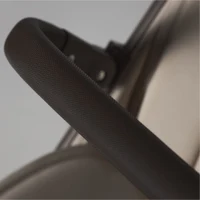 Спортивная коляска Anex Air-Q Vanille 6