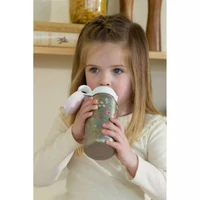Sticla din inox cu capac flip - 600 ml - Fairy Wonders - Mepal 4