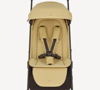 Спортивная коляска Anex Anex Air-Q Melon 2