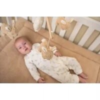 Музыкальный мобиль с деревянным кронштейном - Коллекция Baby Bunny - Little Dutch 4