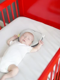 Perna ergonomica impotriva plagioencefaliei Babymoov Lovenest Original Smokey 3