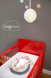 Поддержка для сна 2 в 1 Babymoov Cosydream 4