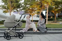 Carucior 2 in 1 Anex ELI EXCITE 8