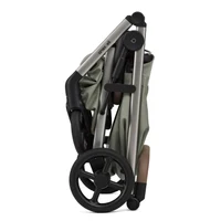 Carucior 2 in 1 Anex ELI EXCITE 3