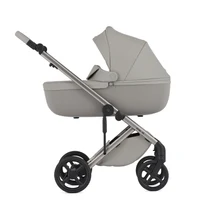Carucior 2 in 1 Anex  ELI SANTAL