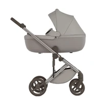Carucior 2 in 1 Anex  ELI GRANTI
