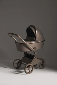 Carucior 2 in 1 Anex FLO YUKI 8