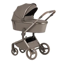 Carucior 2 in 1 Anex FLO YUKI 5