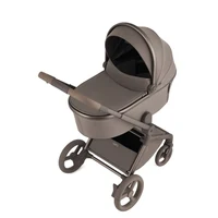 Carucior 2 in 1 Anex FLO YUKI 6
