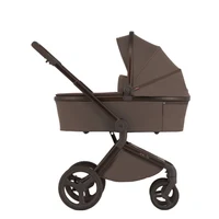 Carucior 2 in 1 Anex FLO BROWNY