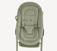 Scaun de masa 3 in 1 Anex Ozy JUNE 3