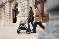 Carucior multifunctional Anex IQ ALL IN ONE PURE 6