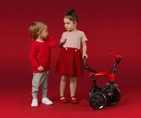 Tricicletă Qplay Ant New Red 6