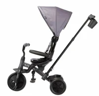Tricicletă Qplay Elite Platinum Grey 2