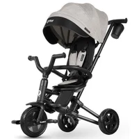 Трицикл Qplay Nova Niello Gray