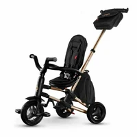 Трицикл Qplay Nova Rubber Gold 3