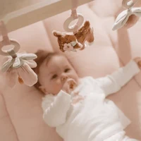 Centru de activitati pentru bebelusi - Baby Gym - Fairy Garden - Little Dutch 4