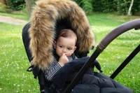 Husa carucior Arctic Black, Cottonmoose 7