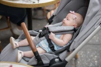 Carucior compact Nuna Triv Chestnut 2