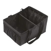 Ezimoov  Organizator Auto Eco FRIENDLY 2
