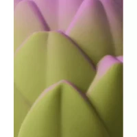 Jucarie zornaitoare de dentitie din cauciuc natural - Artichoke - Oli & Carol 2