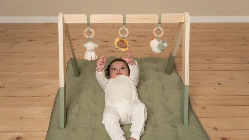 Центр активности для малышей – Baby Gym – коллекция Little Farm – Little Dutch 2