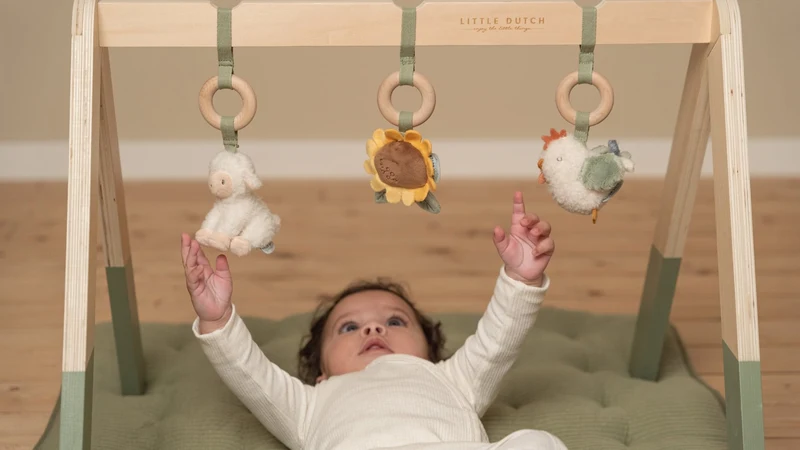 Центр активности для малышей – Baby Gym – коллекция Little Farm – Little Dutch 5