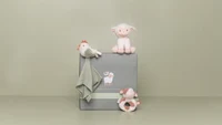 Подарочная коробка для малышей – Little Farm – Little Dutch LD8815 2
