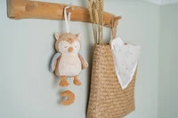 Jucarie muzicala - Bufnita - Forest Friends - Little Dutch 2