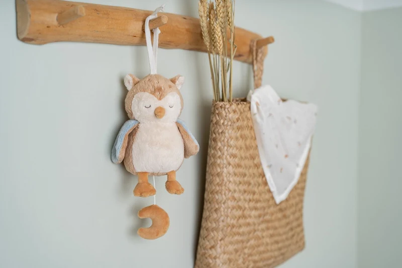 Jucarie muzicala - Bufnita - Forest Friends - Little Dutch 2