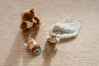 Cutie cadou pentru bebelusi - Forest Friends - Little Dutch 4
