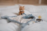 Jucarie paturica pentru bebelusi - Vulpe - Forest Friends - Little Dutch 3
