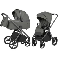 Carucior 2 in 1 Carello Vector Calm Green