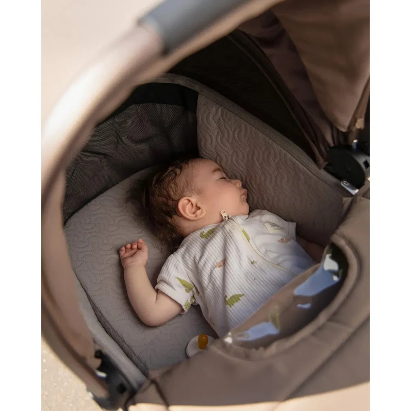 Carucior 2 in 1 Carello Vector Calm Green 4