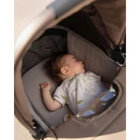 Carucior 2 in 1 Carello Vector Flannel Beige 4