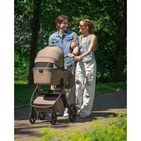 Carucior 2 in 1 Carello Vector Flannel Beige 5