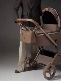 Органайзер для коляски Anex Brown 5