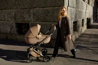 Carucior 2 in 1 Anex Eli SECRET 8