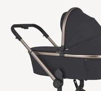 Carucior 2 in 1 Anex FLO SOLO 10