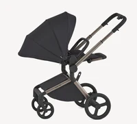 Carucior 2 in 1 Anex FLO SOLO 8
