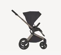 Carucior 2 in 1 Anex FLO SOLO 7