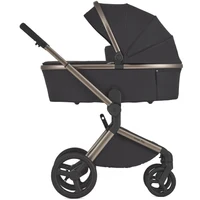 Carucior 2 in 1 Anex FLO SOLO 2