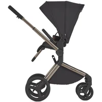 Carucior 2 in 1 Anex FLO SOLO 3