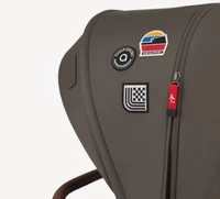 Carucior 2 in 1 Anex Flo Editie Speciala Stroll with the Flow 19