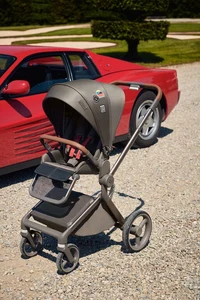 Carucior 2 in 1 Anex Flo Editie Speciala Stroll with the Flow 13