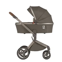 Carucior 2 in 1 Anex Flo Editie Speciala Stroll with the Flow 2