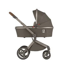 Carucior 2 in 1 Anex Flo Editie Speciala Stroll with the Flow